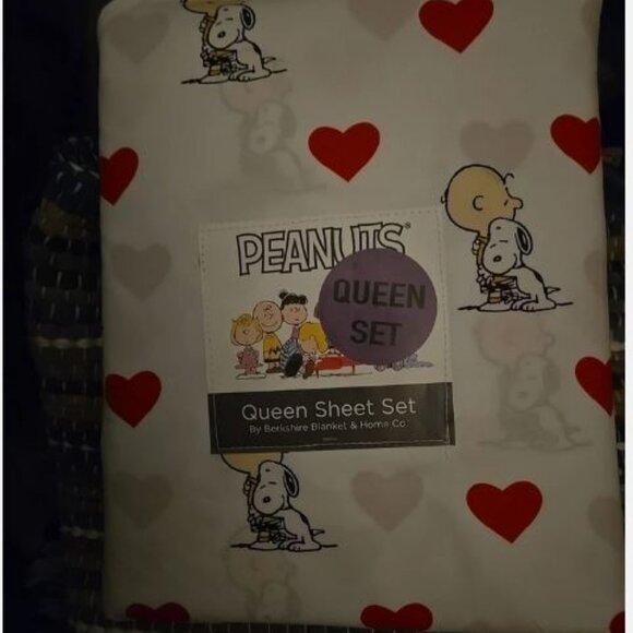 Peanuts Snoopy Hearts QUEEN Sheets Charlie Brown Valentine's Four Piece Set - Picture 2 of 5